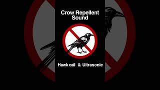 Crow Repellent Sound Hawk Call and 20KHz Ultrasonic Sound Shorts [upl. by Hamford881]