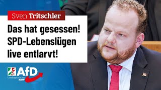 Die Wahrheit tut manchmal weh – Sven Tritschler AfD [upl. by Nuahsyar467]