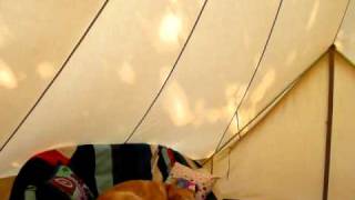 Pillaton bell tent in wind [upl. by Moll]