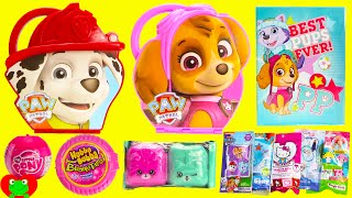 Paw Patrol Skye and Marshall Case Hubba Bubba My Little Pony Shopkins and More [upl. by Elsilrac]