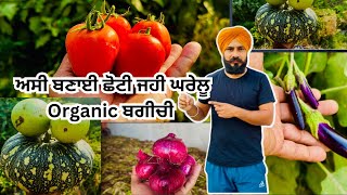 ਘਰੇ ਕਰੋ Organic👌 ਸਬਜ਼ੀਆਂ ਤਿਆਰHome Gardening IdeasKitchen Garden at Home [upl. by Voe880]