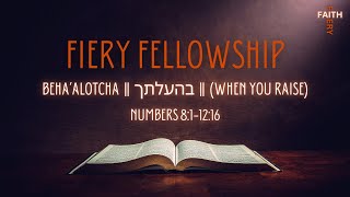 Fiery Fellowship  Beha’alotcha  When you Raise [upl. by Swope745]