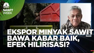 Kabar Baik Dari Ekspor Minyak Sawit RI Efek Hilirisasi [upl. by Fougere]