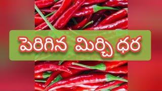 Guntur mirchi market rate today  05092024 [upl. by Angadreme296]