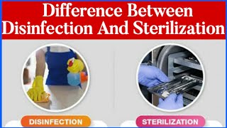 What are the differences between sterilization and disinfection [upl. by Ielirol338]