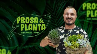 PROSA amp PLANTA COM MURILO SOARES I EPISÓDIO005 [upl. by Notnilc]