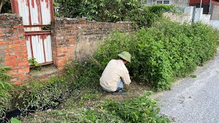 Help her cut the grass and clean the drainage ditch  Surprisingly clean and beautiful result [upl. by Eriuqs]