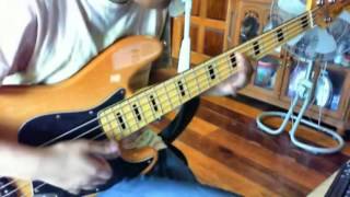 POLYCAT  มันเป็นใคร 【Bass Cover by Mai】 [upl. by Assenay]