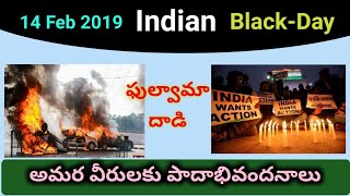 ఫుల్వామా దాడి 14 ఫిబ్రవరి 2019  Indian Black Day 2019 [upl. by Aleahcim]