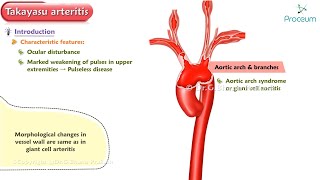 Takayasu Arteritis Pathology Animation [upl. by Gilpin610]