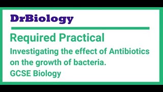 AQA Required Practical  Biology Investigate the effect of antiseptics or antibiotics on bacteria [upl. by Sydelle]