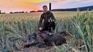 Weizenpirsch  Jagd auf Sau amp Bock  Jagdkrone [upl. by Blain]