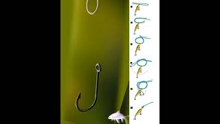 Palomar Knot  Fishing Knots [upl. by Mello]