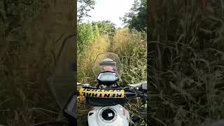 Tall grass no road 🤔 tallgrass trails motorcycleride offroads youtubeshorts shorts [upl. by Maxentia]