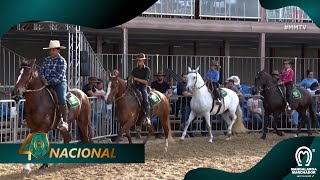 PROVAS SOCIAIS  40ª EXPOSIÇÃO NACIONAL [upl. by Eyaj]