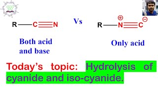 Hydrolysis of cyanide and isocyanide Basic concept and complete mechanism [upl. by Naesar902]