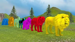 Long Slide Game With Elephant Gorilla Buffalo Hippopotamus Tiger  3d Animal Game  Funny 3d Animals [upl. by Anirav]