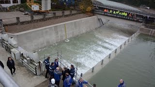 Alzkanal quotWasser marschquot von Hirten nach Burghausen [upl. by Mun]