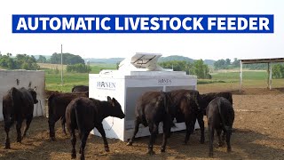 Hanen Automatic Cattle amp Livestock Feeders [upl. by Hewe]