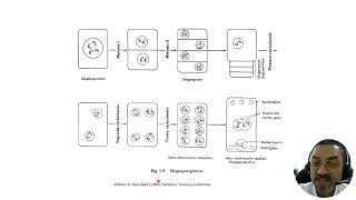 3 Bases físicas de la herencia con audio [upl. by Elleira]