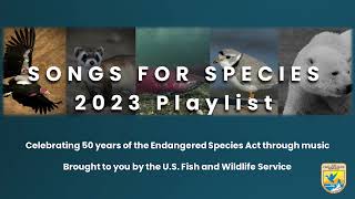 Songs for Species Celebrating 50 years of the Endangered Species Act through music [upl. by Hametaf]