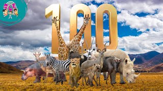 100 ANIMALS FOR KIDS  Discovering the Fascinating Animal World for Kids Toddler and Preschooler [upl. by Ecaj]