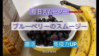 スムージー スペシャリストDream Cat 2023 1230 [upl. by Idmann]