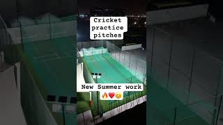 Masha Allah  Mehnat  Wah  kamal cricket practice pitches cricket india viralreels ytshorts [upl. by Joanie]