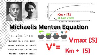 Michaelis Menten Equation  Enzyme Kinetics  Biochemistry [upl. by Eylhsa]