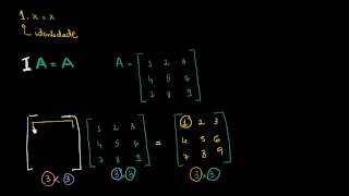 Matriz Identidade [upl. by Sung360]