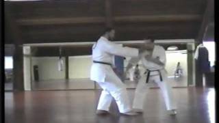 Tuidi in Pinan Shodan and Nidan midkyu [upl. by Birchard]