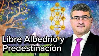 💥🌟Mario Saban 👉 LIBRE ALBELDRÌO Y PREDESTINACION  Un análisis Cabalistico [upl. by Swehttam]