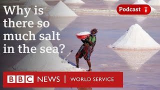 Why are the seas salty  CrowdScience podcast BBC World Service [upl. by Grados]