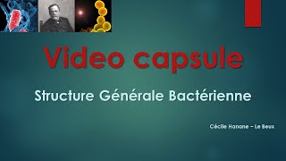 Vidéo Capsule  Structure Générale dune Bactérie [upl. by Sydel]