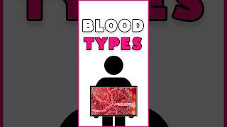 Blood Types in 3 Minutes shorts BloodTypesExplained QuickScience bloodtype [upl. by Bathulda]