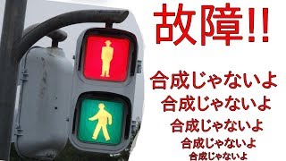 信号機制御機が故障した！歩行者信号機青赤同時点灯！合成とかコラージュじゃないよ 某交通公園より [upl. by Akerdnuhs]