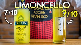 DIY Limoncello wih Super Juice Leftovers  Easy and Delicious [upl. by Ilocin]