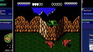 Play Nintendo NES Games  Roms Online for Free [upl. by Enavi]