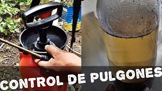 Como hacer INSECTICIDA de ceniza FACIL Y RAPIDOcontrol de pulgonesAGRICULTURA ORGÁNICA [upl. by Eniamrahs36]