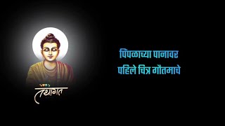 pimplachya panavar lyrical marathi bana lyrics video 💙😌 jay bhim jaybhim [upl. by Nona]