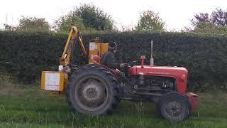 Massey Ferguson 35 MF with McCONNEL PA90 hedge cutter flail cutting UK [upl. by Rehsa]