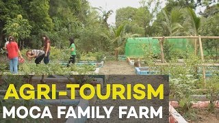 Agri tourism MoCa Family Farm Agribusiness Ideas in the Philippines [upl. by Nwahsid709]