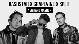 knock2 y Tiesto  Dashstar vs Grapevine vs Split Newhard Mashup [upl. by Ilram769]