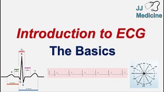 Introduction to ECG  The Basics  ECG Paper PQRST wave Rate Rhythm Axis and Interval [upl. by Duncan]