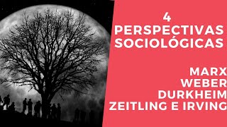 Cuatro perspectivas sociológicas  Marx  Weber  Zeitling e Irving  Durkheim [upl. by Chandless]