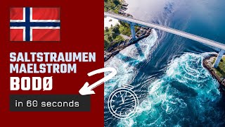 Incredible Saltstraumen Maelstrom Bodø  Norway in 60 Seconds [upl. by Rolyt337]