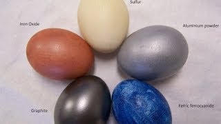 Eggs Dyed With Iron Aluminium Sulfur Graphite and Cyanide [upl. by Ierbua140]