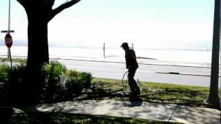 Fertilizing Live Oak Tree Biloxi MS [upl. by Harikahs]