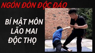 NGÓN ĐÒN ĐỘC ĐÁO BÍ MẬT LÃO MAI ĐỘC THỌHIẾU NGHĨA VLOGVÕTỰ VỆKUNGFUFUNNYMARTIALARTS [upl. by Pals]