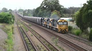 ND209 at Beresfield 11 27 with 9211 LDP006 005 on 13 11 24 [upl. by Ethyl355]